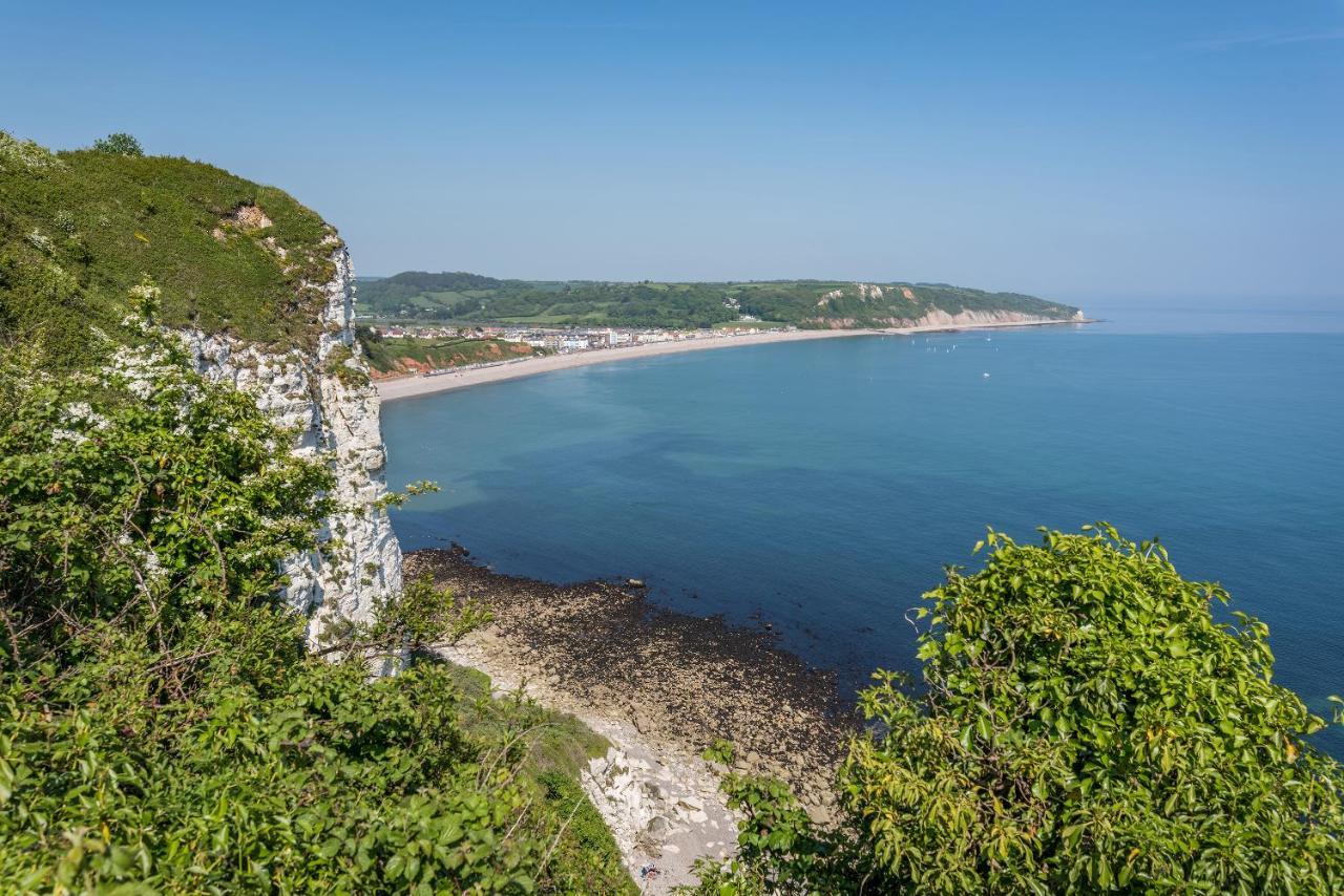 Valley Farm Holiday Cottages Аксминстър Екстериор снимка